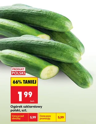 Ogórek szklarniowy promocja w Biedronka