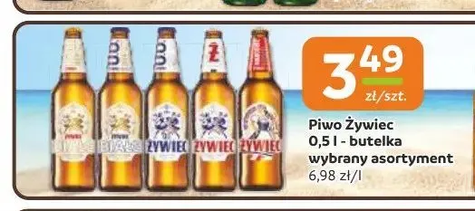 Piwo Żywiec promocja w Gama