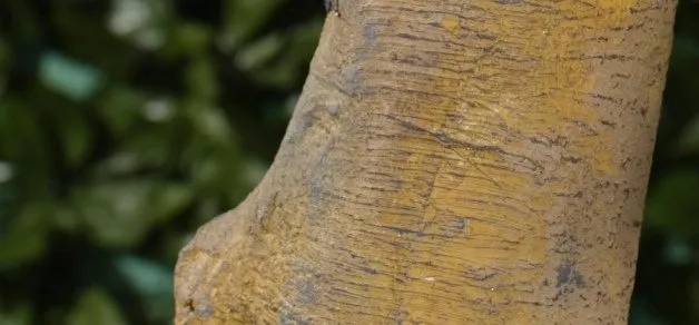 Gazetka, strona 15 promocja w Action