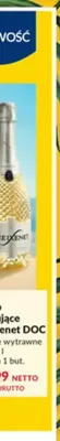 Wino musujące Freixenet DOC promocja w Makro