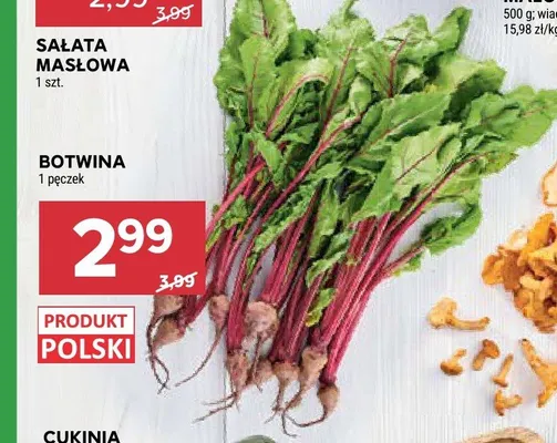 Botwina promocja w Stokrotka