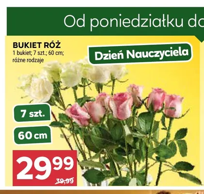 Bukiet róż 7 szt. 60 cm promocja w Stokrotka