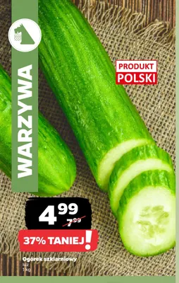 Ogórki szklarniowe promocja w Netto