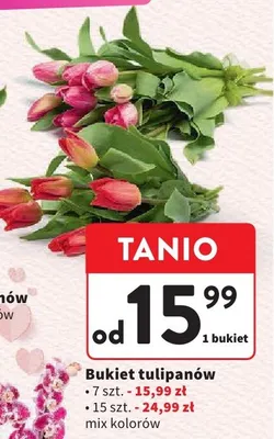 Bukiet tulipanów 7szt. mix kolorów promocja w Intermarche