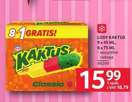 Lody Kaktus 6-pak promocja w Selgros