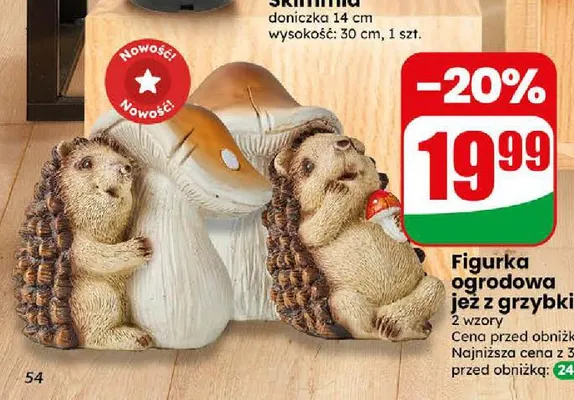 Figurka ogrodowa jeż z grzybkiem promocja w Dino
