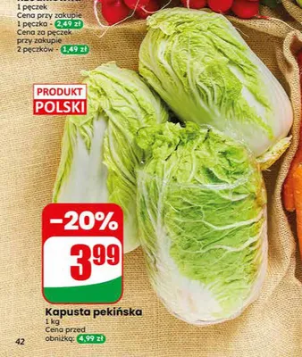 Kapusta pekińska polska promocja w Dino