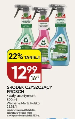 Środek usuwający kamień malinowy Frosch promocja w Chata Polska