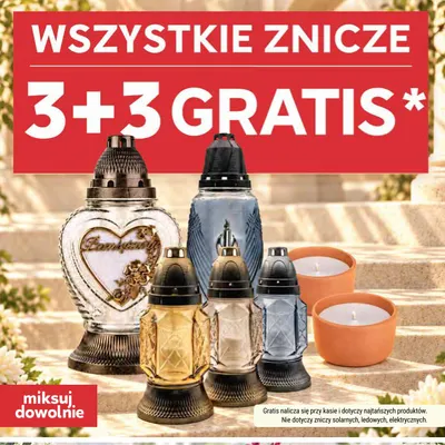Znicze promocja w Stokrotka