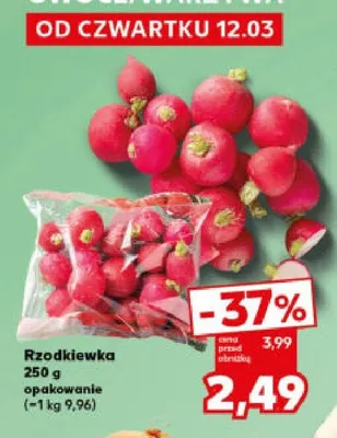 Rzodkiewka promocja w Kaufland
