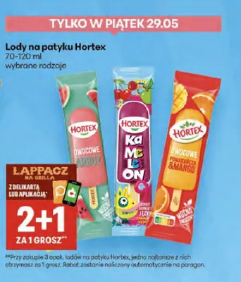 Lody na patyku Hortex Owocowe Arbuz promocja w Delikatesy Centrum