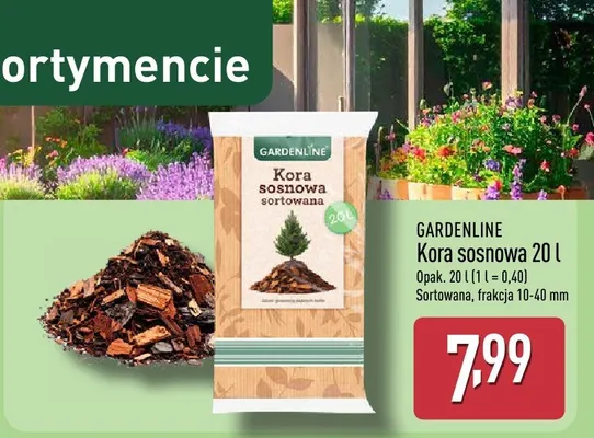 Kora sosnowa 20 l promocja w Aldi