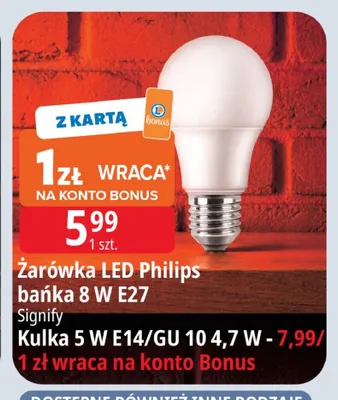 Żarówka LED Philips bańka 8W E27 promocja w Leclerc