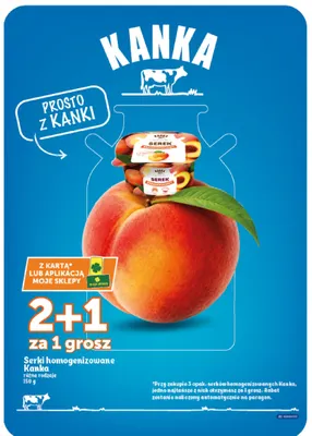Serki homogenizowane Kanka promocja w Euro Sklep
