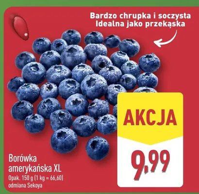 Borówka amerykańska XL promocja w Aldi