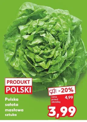 Sałata masłowa polska promocja w Kaufland