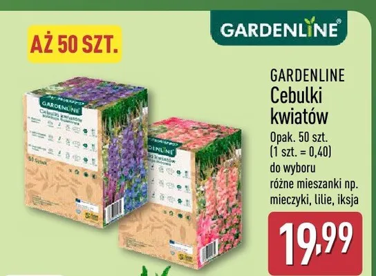 Cebulki kwiatów opak. 50 szt. (1 szt. = 0,40) do wyboru różne mieszanki np. mieczyki, lilie, iksja promocja w Aldi