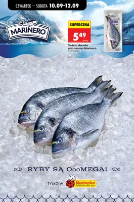 Świeża dorada patroszona Marinero promocja w Biedronka