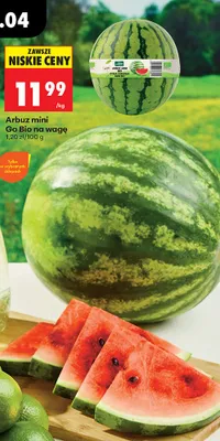 Arbuz mini Bio promocja w Biedronka