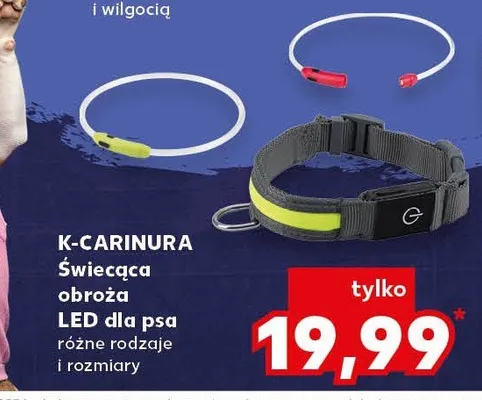 Świecąca obroża LED dla psa promocja w Kaufland