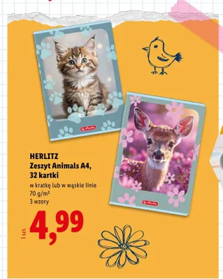 Zeszyt Animals A4 w kratkę 32 kartki Herlitz promocja w Lidl