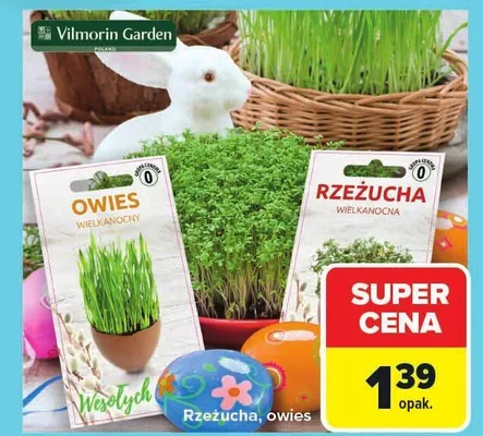 Rzeżucha, owies promocja w Carrefour Market