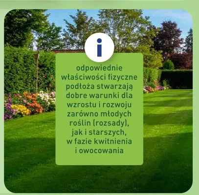 Katalog ogrodowy Aldi!, strona 8 promocja w Aldi