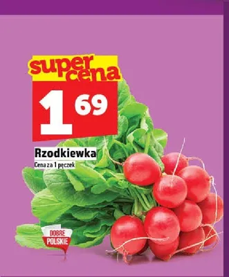 Rzodkiewka promocja w TOPAZ