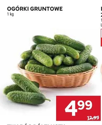Ogórki gruntowe promocja w Stokrotka