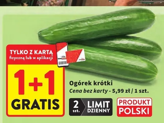 Ogórek krótki promocja w Intermarche