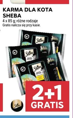 Karma dla kota Sheba promocja w Stokrotka