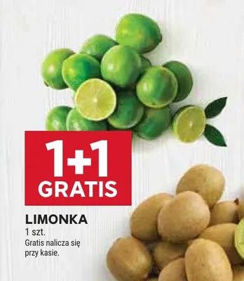 Limonka promocja w Stokrotka