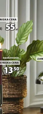 Roślina sztuczna ROLF Jysk promocja w Jysk