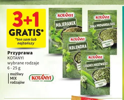 Przyprawa Kotányi czosnek niedźwiedzi promocja w Intermarche