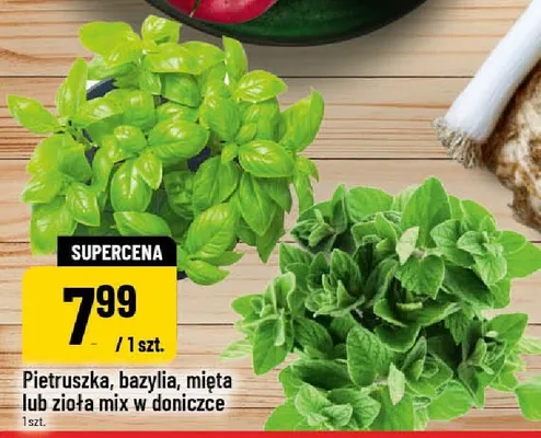 Pietruszka, bazylia, mięta lub zioła mix w doniczce promocja w POLOmarket