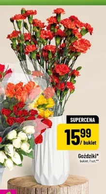 Goździki promocja w POLOmarket