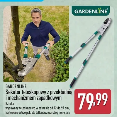 Sekator teleskopowy z przekładnią i mechanizmem zapadkowym promocja w Aldi