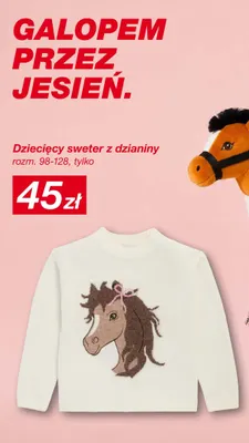Dziecięcy sweter z dzianiny promocja w KiK