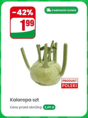 Kalarepa polska promocja w Dino
