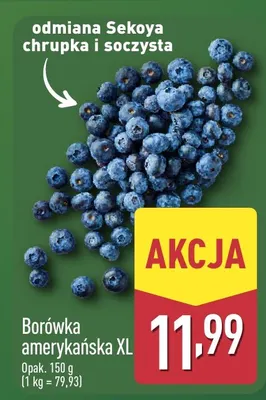Borówka amerykańska XL promocja w Aldi