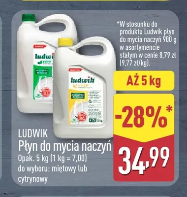 Płyn do mycia naczyń miętowy Ludwik promocja w Aldi