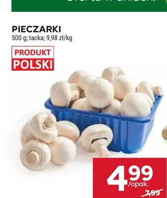Pieczarki promocja w Stokrotka