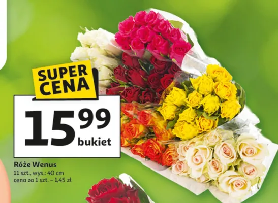 Róże Wenus promocja w Auchan