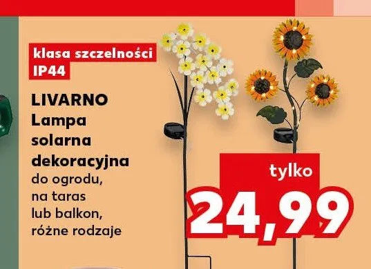 Lampa solarna dekoracyjna Livarno promocja w Kaufland