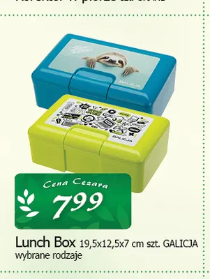 Lunch Box Galicja promocja w CEZAR Delikatesy
