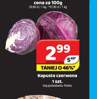 Kapusta czerwona promocja w Delfin