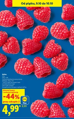 Maliny promocja w Lidl
