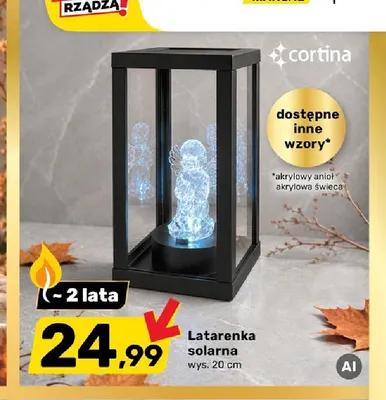 Latarenka solarna wys. 20 cm Cortina promocja w Bricomarche
