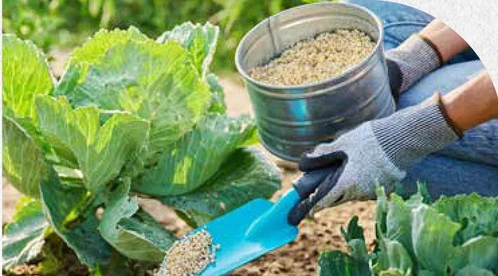 Katalog ogród, strona 127 promocja w Bricomarche