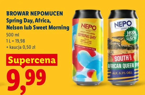 Piwo kraftowe Africa promocja w Lidl